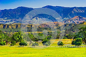 Oak trees grow in the peaceful Santa Ynez Mountains valley,  in Santa Barbara California photo