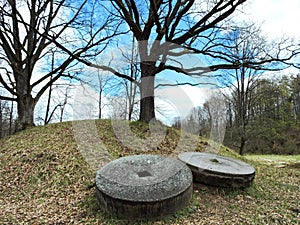 Oak trees and millstones, Lithuania