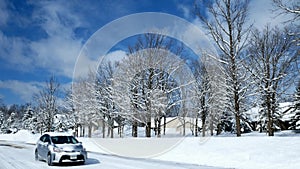 Oak trees with new snow in front of piles of snow in front of houses in a residential community after winter storms