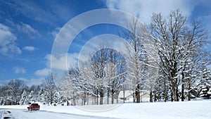 Oak trees with new snow in front of piles of snow in front of houses in a residential community after winter storms