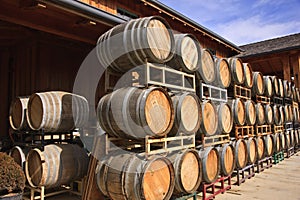 Oak wine barrels