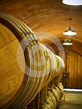 Oak wine barrels