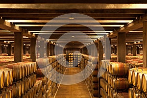 Oak Wine Barrels, La Rioja