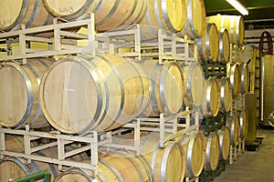 Oak Wine Barrels in a Rack