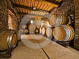 Oak wine barrels