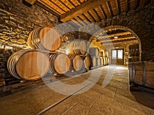Oak wine barrels