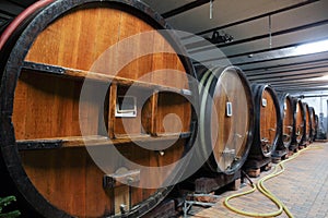 Oak wine barrels in a wine cellar