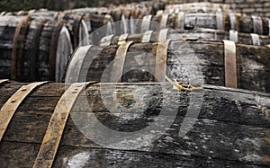 Oak wine casks on madeira ground