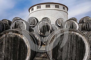 Oak wine casks on winery