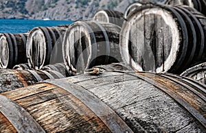 Oak wine casks on winery