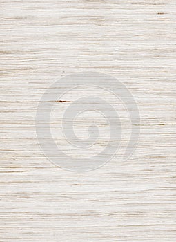 Oak wood bleached texture