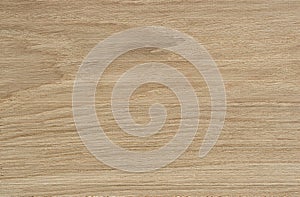 Oak wood texture