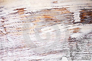 Oak wood texture