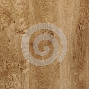 Oak-wood texture. High resolution photo