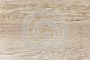 Oak wood texture photo