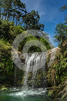 Oakley Creek Waterfall, Auckland New Zealand