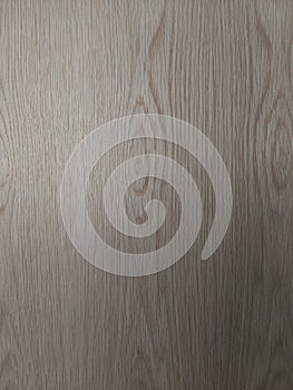 Oaks wood of natural finish. Print for material, texture, wallpaper, background, interior, furniture