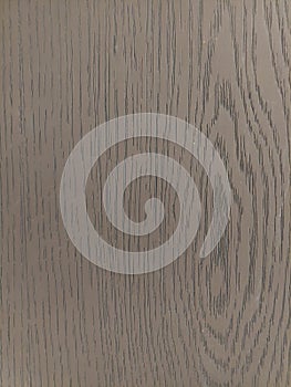 Oaks wood veneer of black filler. Image print for illustration, texture, material, background.