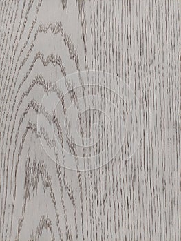 Oaks wood veneer of black filler. Image print for illustration, texture, material, background. Set 4