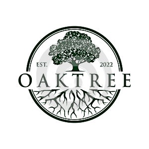 Oaktree Logo Design Template