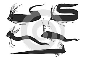 Oarfish silhouette, Oarfish vector illustration, Oarfish vector, Oarfish icon bundle