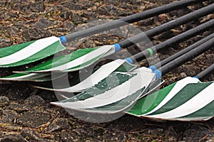 Oars on a quayside