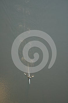 Oarsman on his skull canoe on the Brisbane River, Queensland