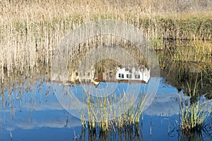 Oasi of massaciuccoli photo