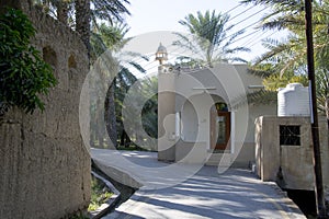 Oasis Al Hamra Oman photo