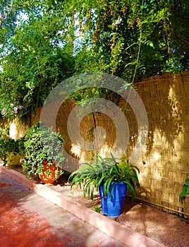 Oasis of art and landscaping at Majorelle Gardens photo