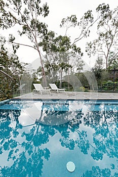 Oasis of an Australian backyard swimming pool surrounded by native gum trees