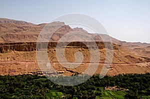 Oasis in the border of Sahara