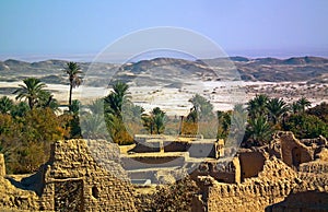 An oasis in central desert of Iran and date palms