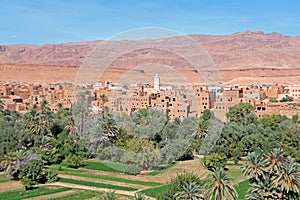 Oasis in the Dade Valey in Morocco