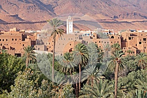 Oasis in the Dade Valey in Morocco photo