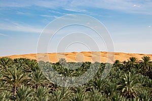 Oasis with Date palms in Biiddiyya at entrence to wahiba sands to camp in Oman photo