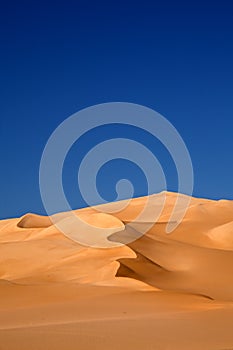 Oasis desert