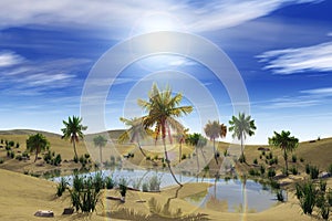 Oasis in the desert, palm trees and lake
