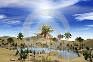 Oasis in the desert, palm trees and lake photo