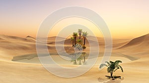 Oasis in the desert sand