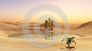 Oasis in the desert sand photo