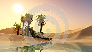 Oasis in the desert sand photo