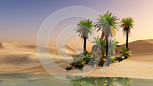Oasis in the desert sand photo