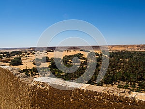 An oasis in the desert of Taghit, Algeria