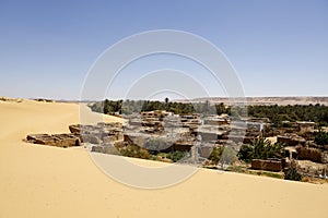 Oasis in the Egyptian desert