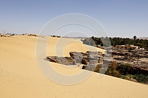 Oasis in the Egyptian desert