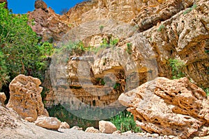 Oasis of Ein Gedi National Park in Israel