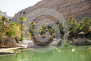 Oasis with emerald water color at Wadi Bani Khalid