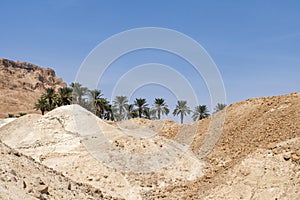 Oasis with green palm trees through the sands and rocks in desert. Concept of finding oasis in a desert. The end of journey,