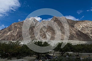 Oasis of green trees on the way to K2 base camp,Baltoro